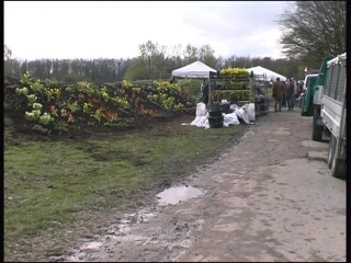 GP-WV095